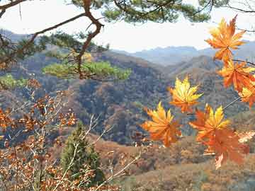 山西省太原市娄烦县某乡镇领导团队最新概览