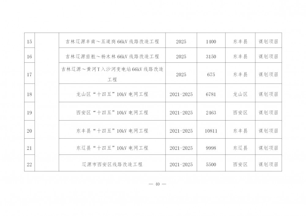 辽源市供电局最新发展规划概览